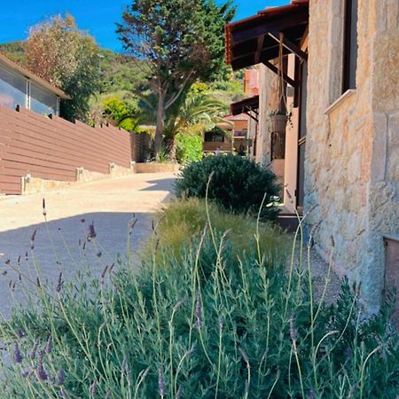 Palma Seaside Villa 1 Σάρτη Εξωτερικό φωτογραφία