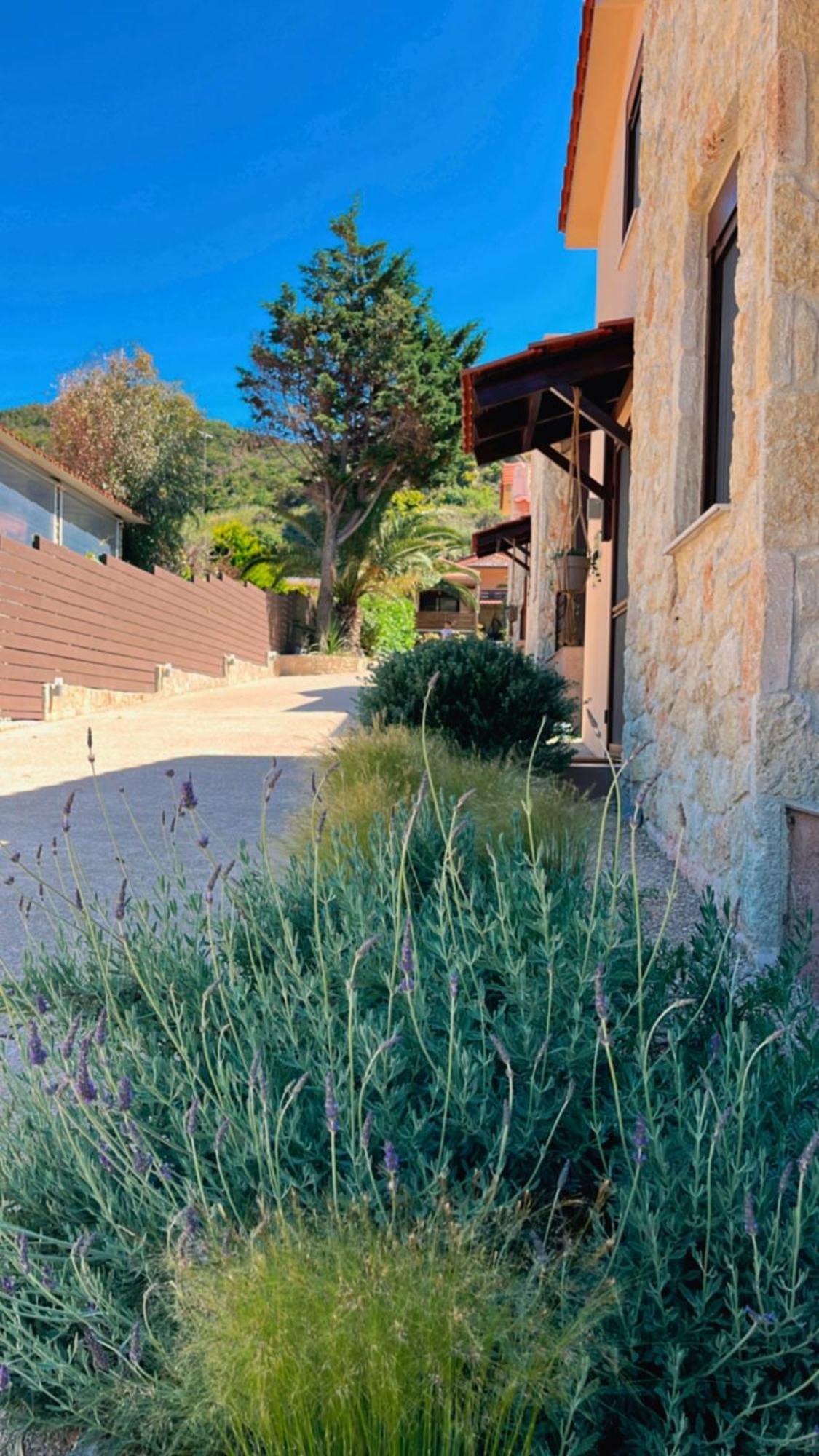 Palma Seaside Villa 1 Σάρτη Εξωτερικό φωτογραφία